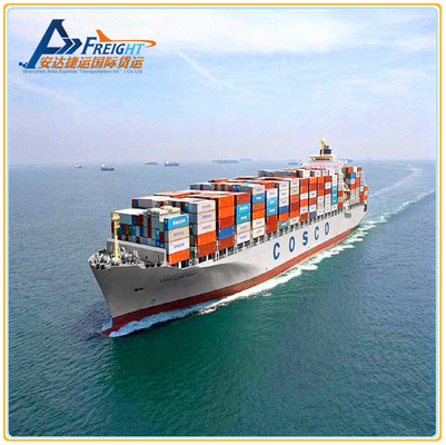 Sea Freight International Logistcs forwarder DDU DDP Services From Shenzhen to Canada