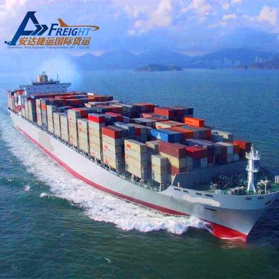 International Forwarder Sea Freight Forwarding Business LCL From China to Fremantle