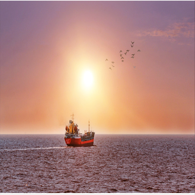 International Sea Freight Forwarding DDP From China To Indonesia