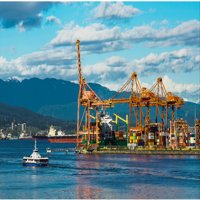 International Sea Freight Forwarding DDP From China To New Zealand