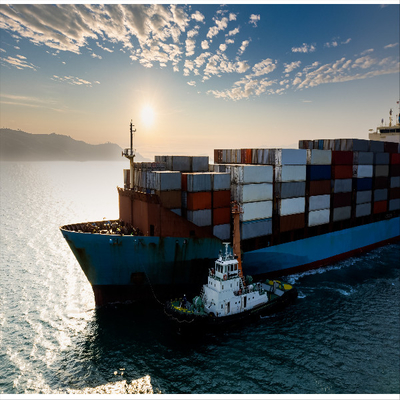 International Global DDU DDP Sea Freight Forwarder From China To Poland