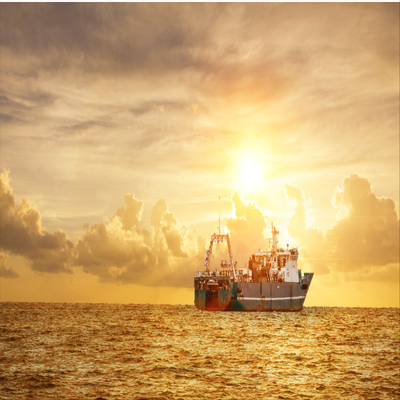 FCL LCL DDU DDP To Helsinki International Sea Freight Forwarder