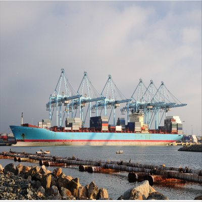 Lcl Fcl Service International Sea Freight Forwarder From China To La