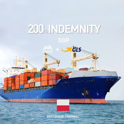 Door to Door LCL FCL Ocean Freight Shipping Sea Freight From China to Singapore