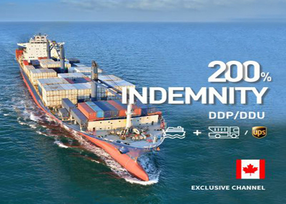 Fast International Sea Freight Forwarding To Europe