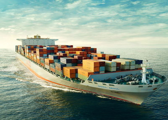 FCL LCL International Sea Freight Forwarding , Sea Freight China To Europe