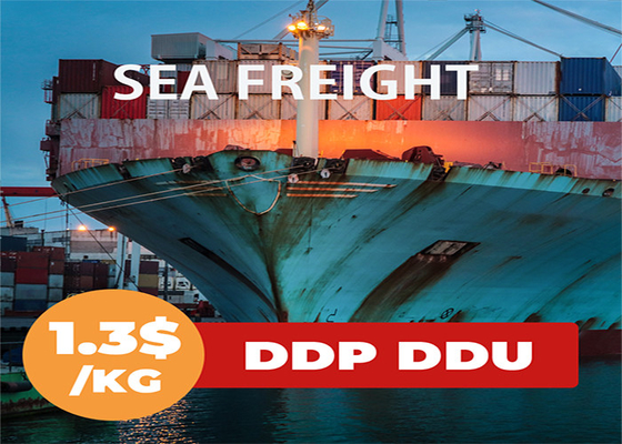 China To India LCL Ocean Shipping