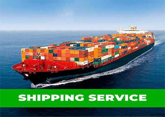 China To India LCL Ocean Shipping