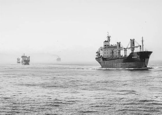 DDP DDU North American Freight Forwarding , Freight Shipping From China To US