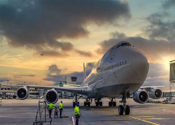 Speedy North American Freight Forwarding Delivery Duty Paid