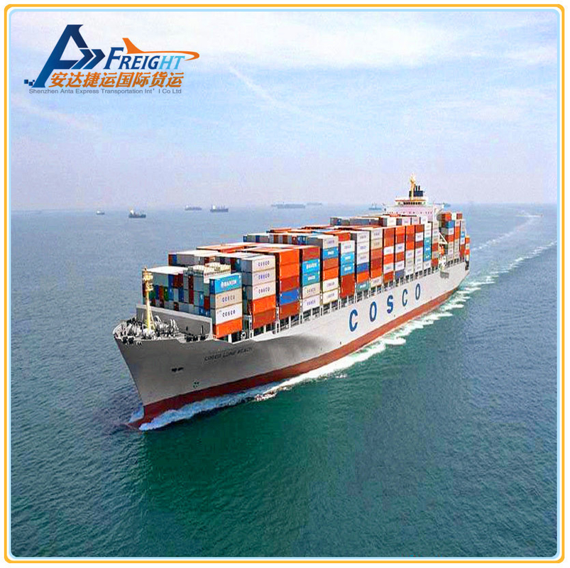 Sea Freight International Logistcs forwarder DDU DDP Services From Shenzhen to Canada