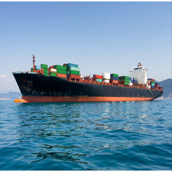 Container International Sea Freight Shipping Prices To Usa Logistic Company China Forwarder